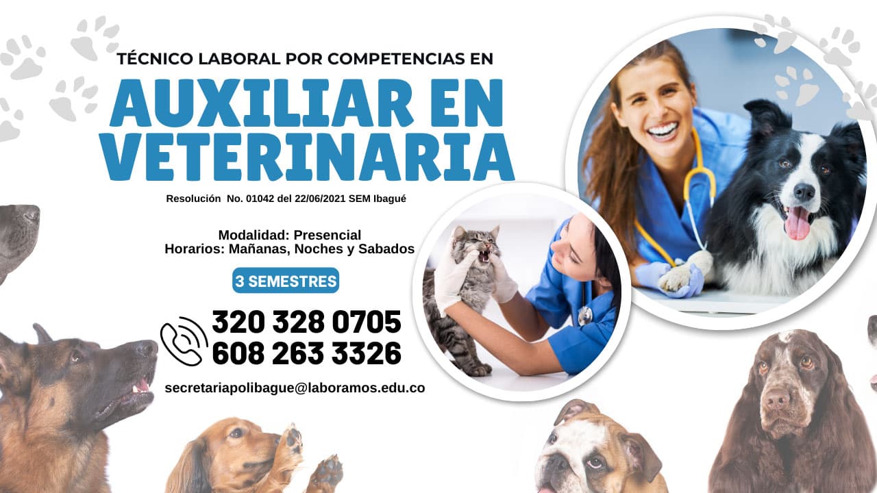 Técnico laboral por competencias en Auxiliar en Veterinaria